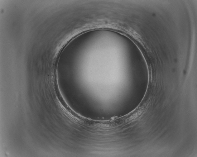 X0000069831500200605221154