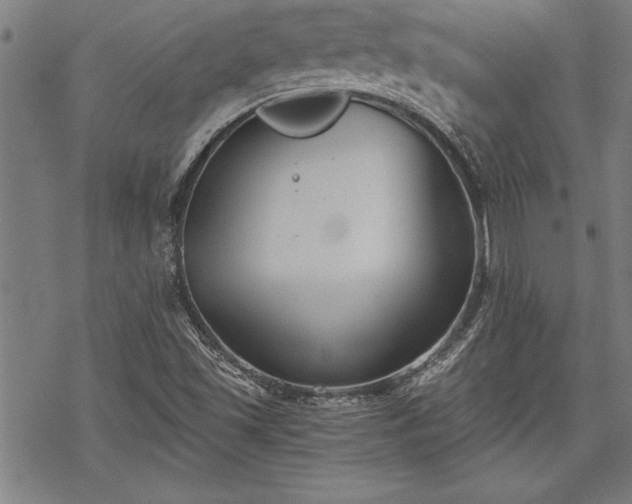 X0000069831501200605221154