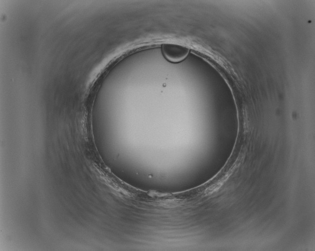 X0000069831502200605221154