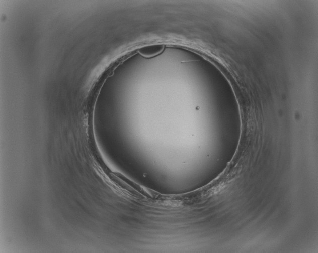 X0000069831503200605221154