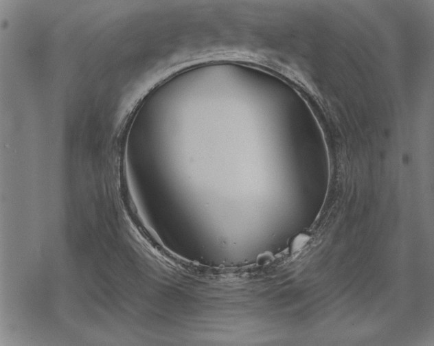 X0000069831504200605221154