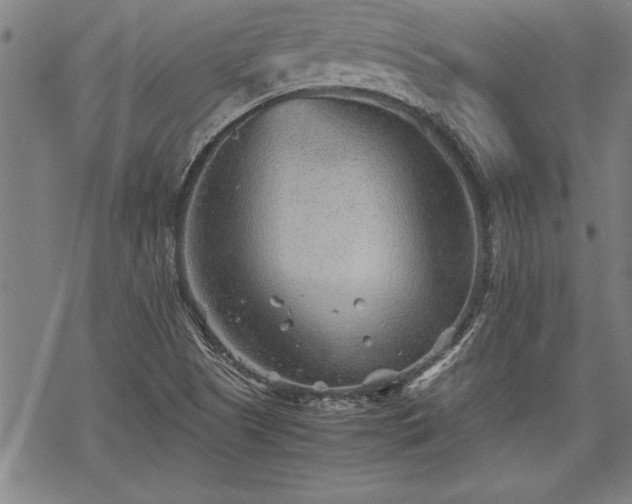 X0000069831505200605221154