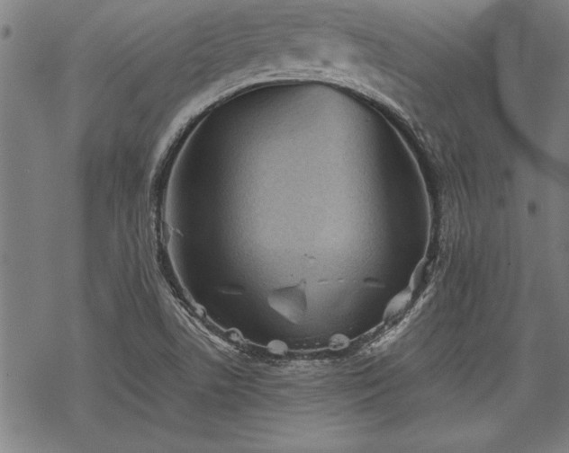 X0000069831506200605221154