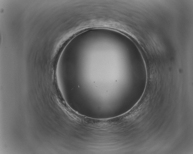 X0000069831507200605221154