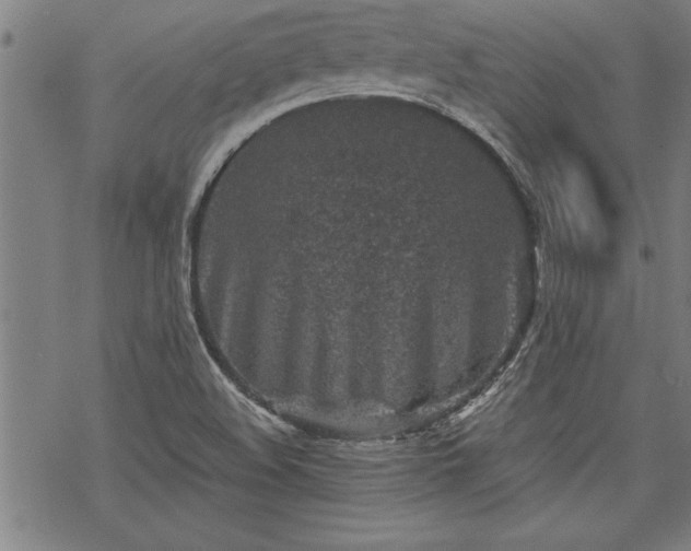 X0000069831508200605221154