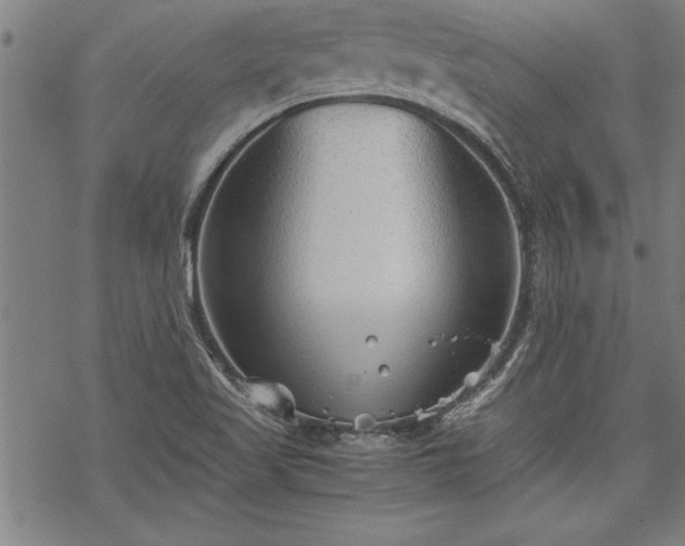 X0000069831509200605221154