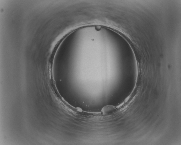 X0000069831510200605221154