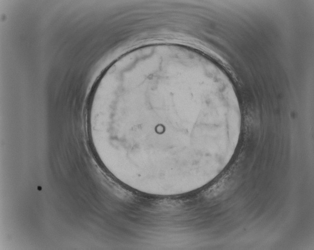 X0000069831514200605221154