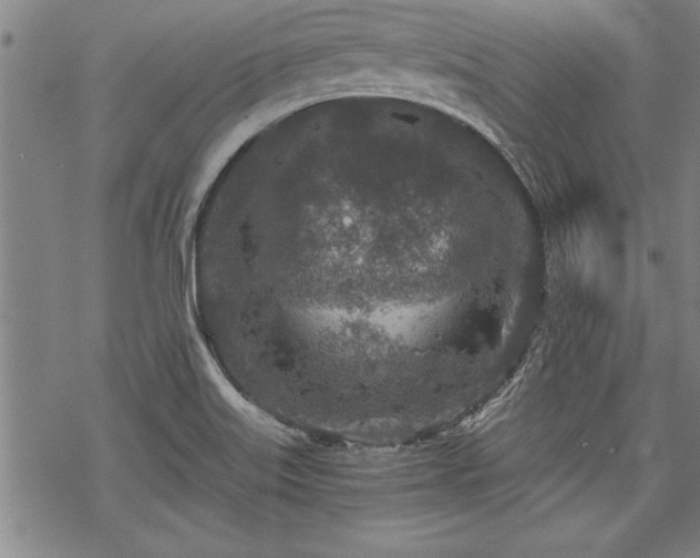 X0000069831515200605221154