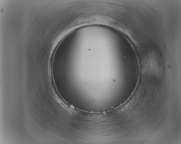 X0000069831516200605221154