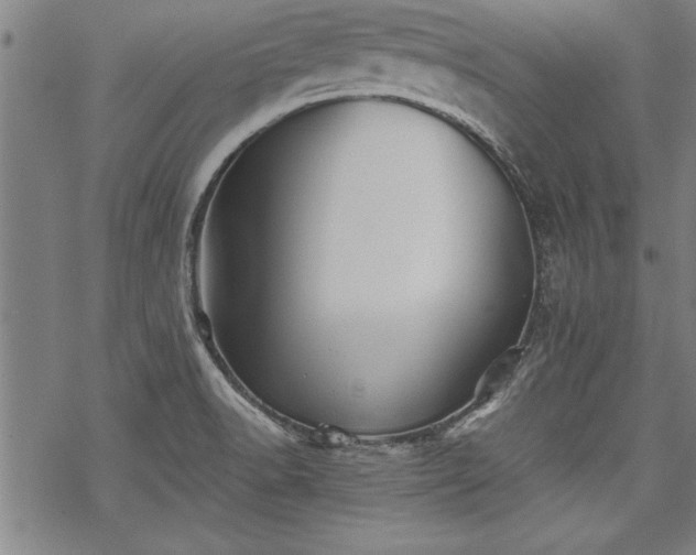 X0000069831518200605221154