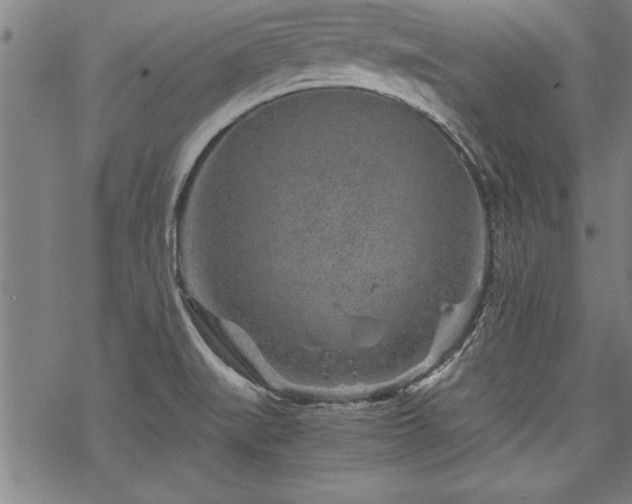 X0000069831519200605221154