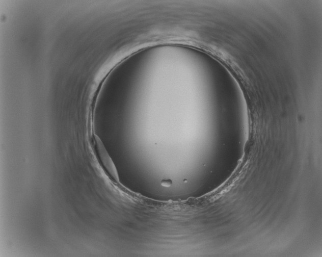 X0000069831520200605221154