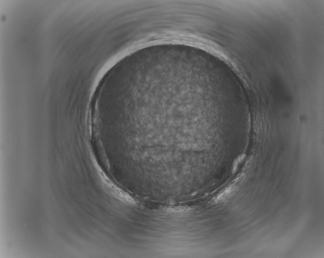 X0000069831522200605221154