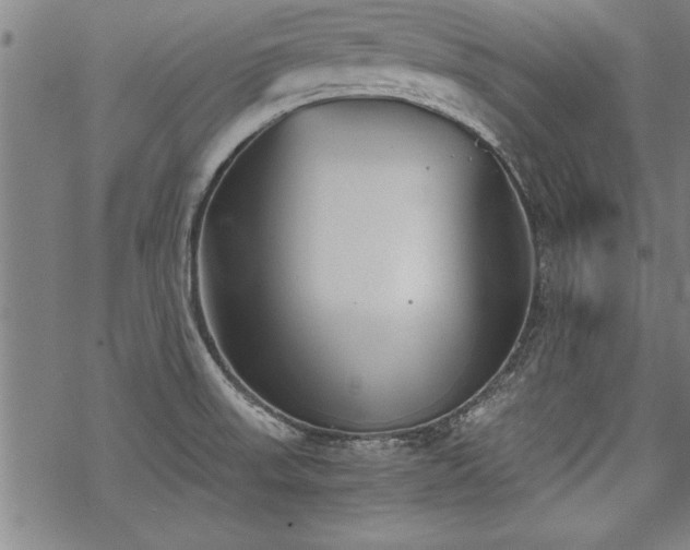 X0000069831523200605221154