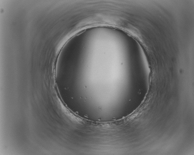 X0000069831524200605221154