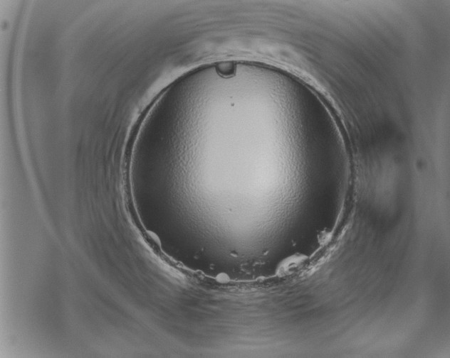 X0000069831525200605221154