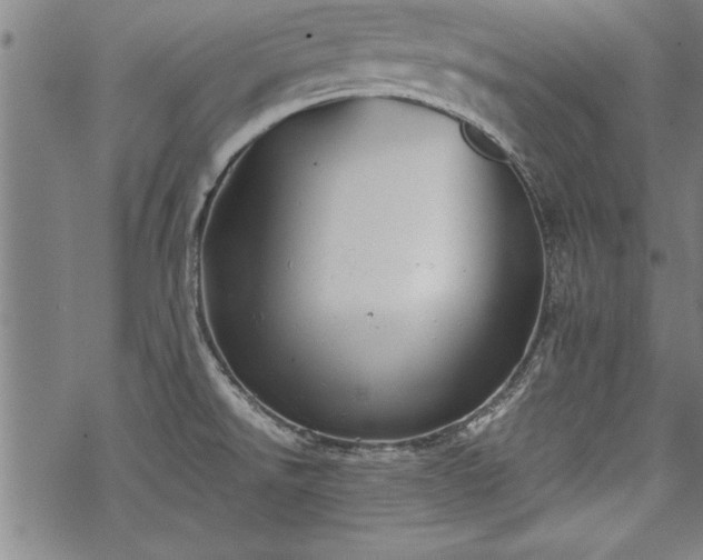 X0000069831526200605221154