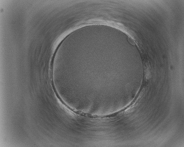 X0000069831527200605221154