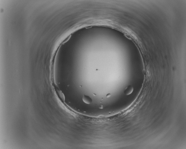 X0000069831528200605221154