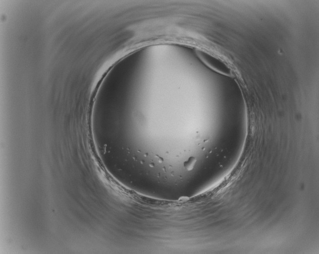 X0000069831530200605221154