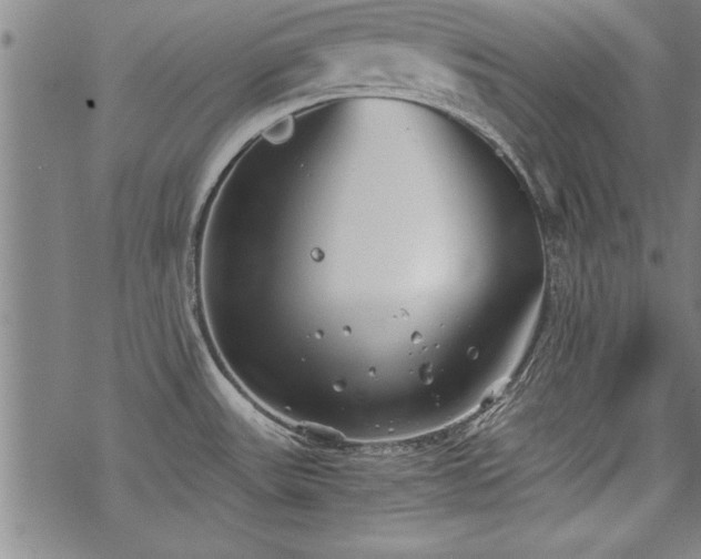 X0000069831531200605221154