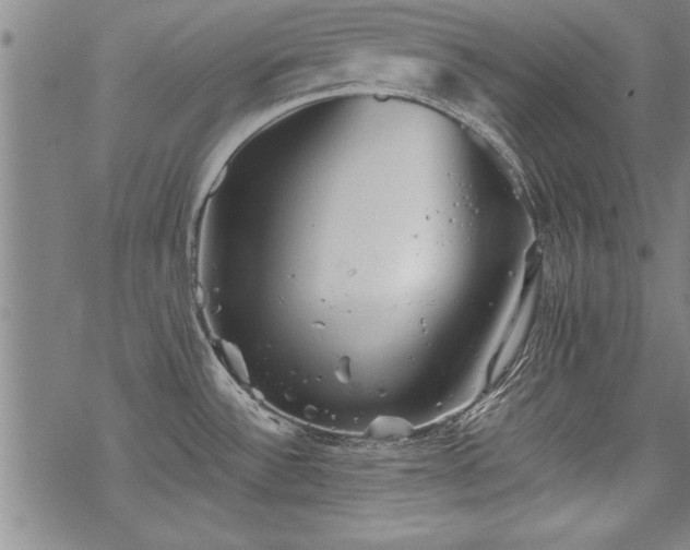 X0000069831532200605221154