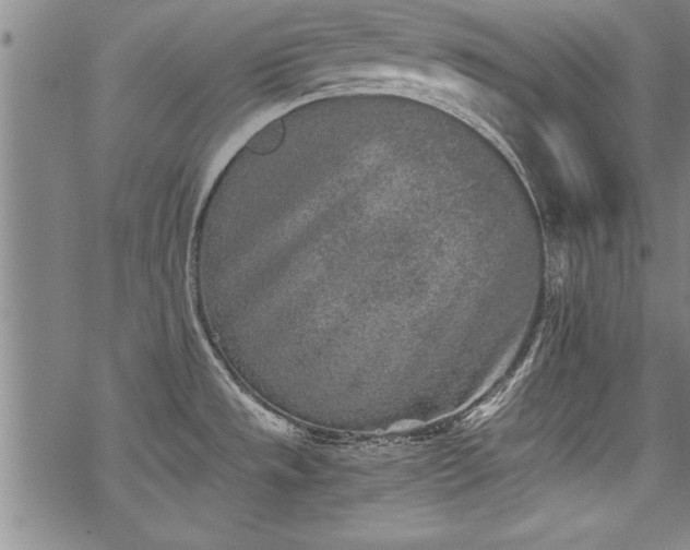 X0000069831533200605221154