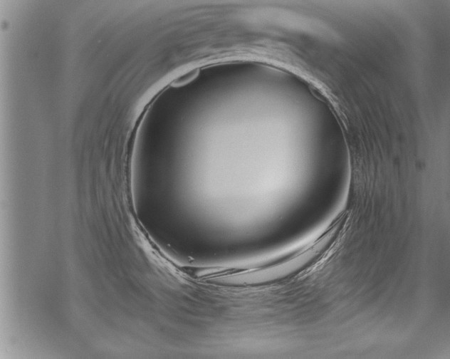 X0000069831534200605221154