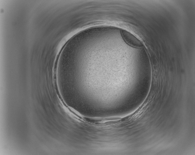 X0000069831535200605221154