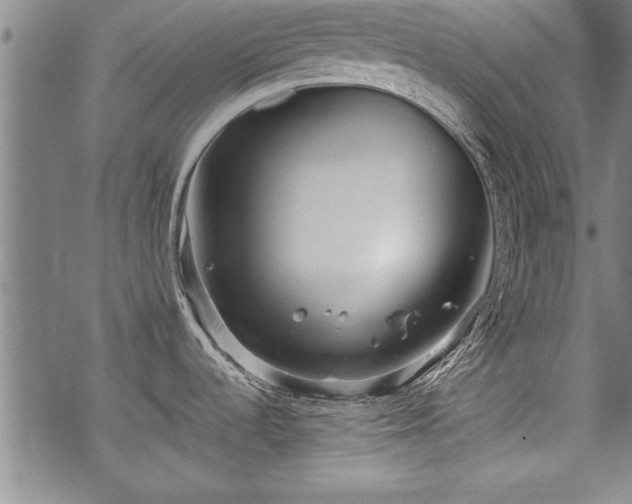 X0000069831536200605221154