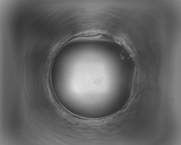 X0000069830001200605261853