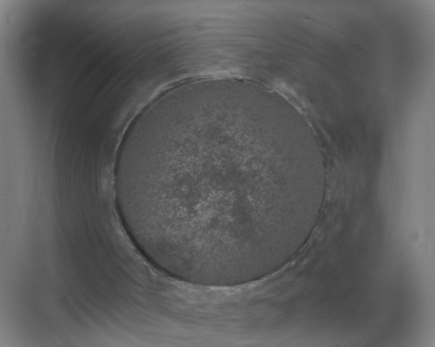 X0000069830002200605261853