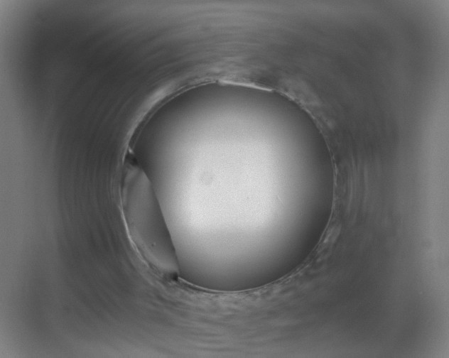 X0000069830003200605261853