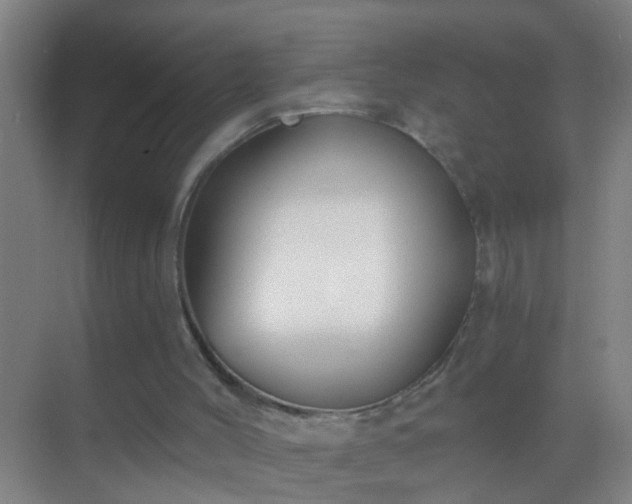 X0000069830004200605261853