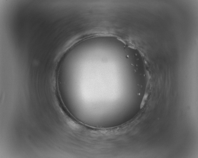 X0000069830005200605261853