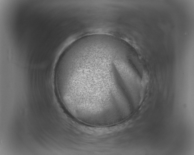 X0000069830006200605261853