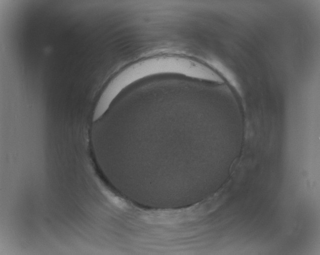 X0000069830009200605261853