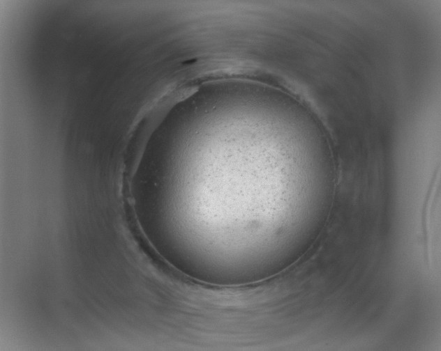 X0000069830010200605261853