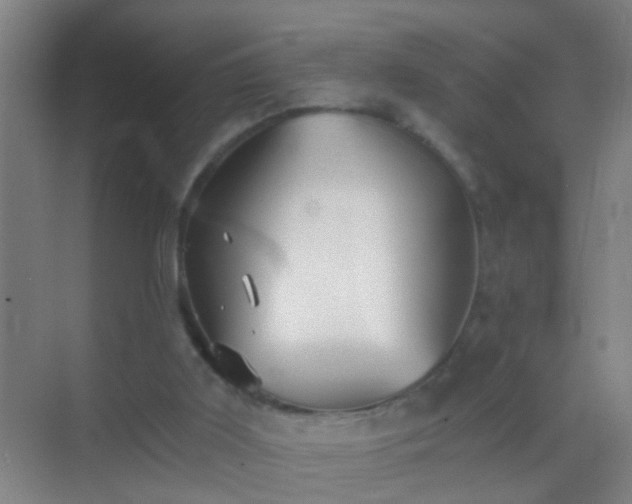 X0000069830011200605261853