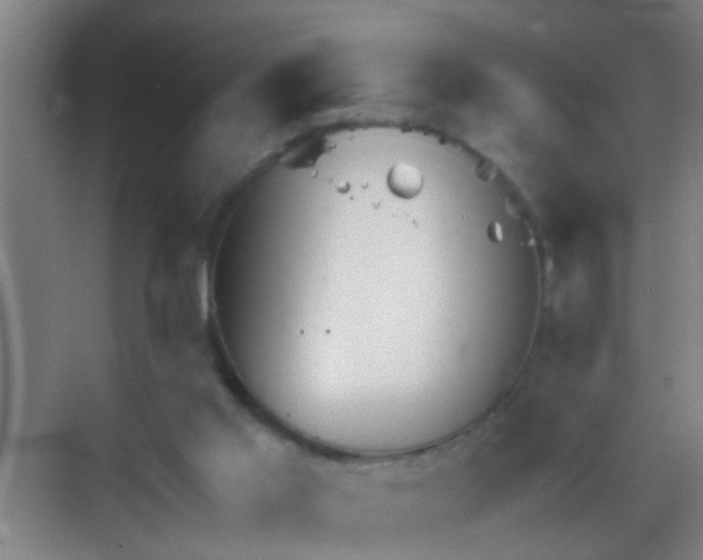 X0000069830013200605261853