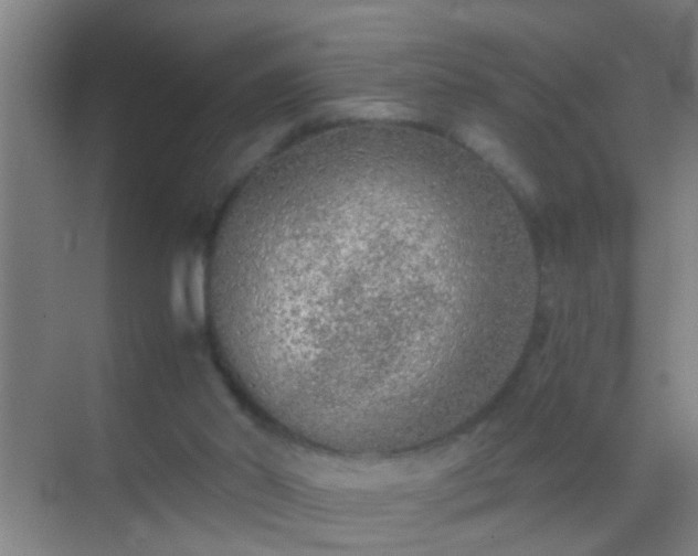 X0000069830014200605261853