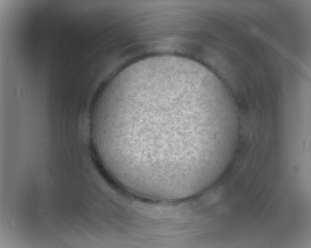 X0000069830016200605261853