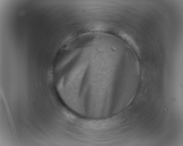 X0000069830017200605261853