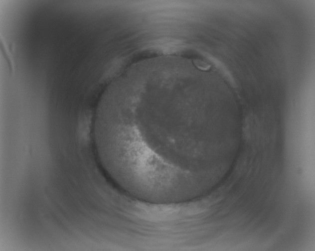 X0000069830018200605261853