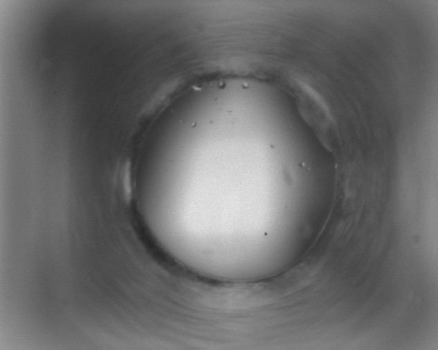 X0000069830020200605261853