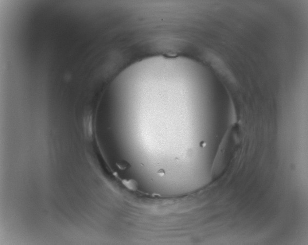 X0000069830021200605261852