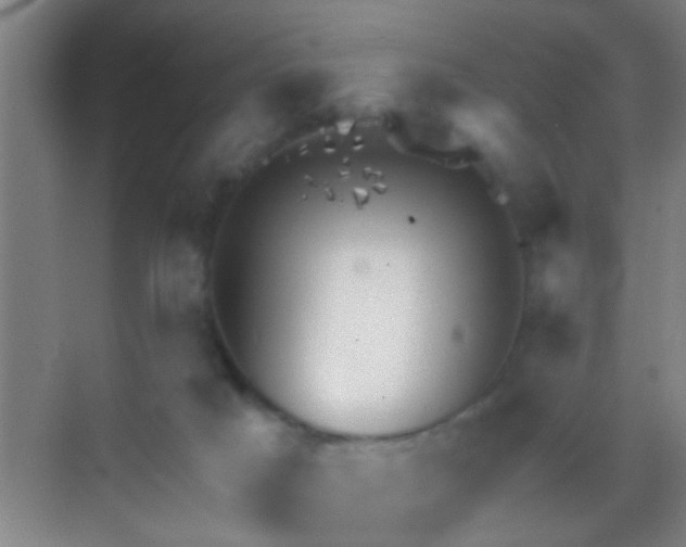 X0000069830025200605261852