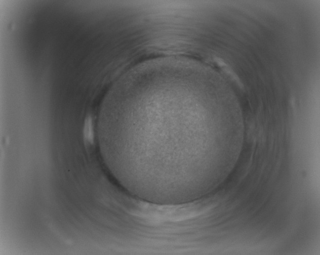 X0000069830026200605261852