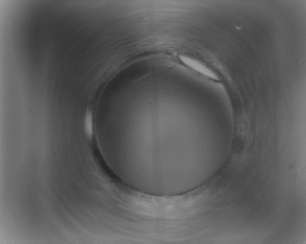 X0000069830027200605261852